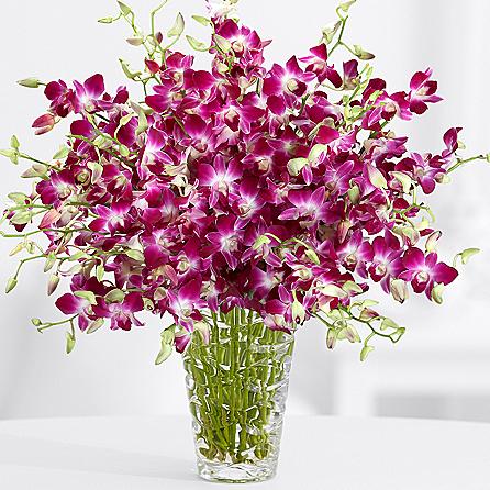 Mothers Day Roses, Happy Mothers Day Flowers, Best Mothers Day Presents 2016 Mothers Day Roses, Happy Mothers Day Flowers, Best Mothers Day Presents 2016