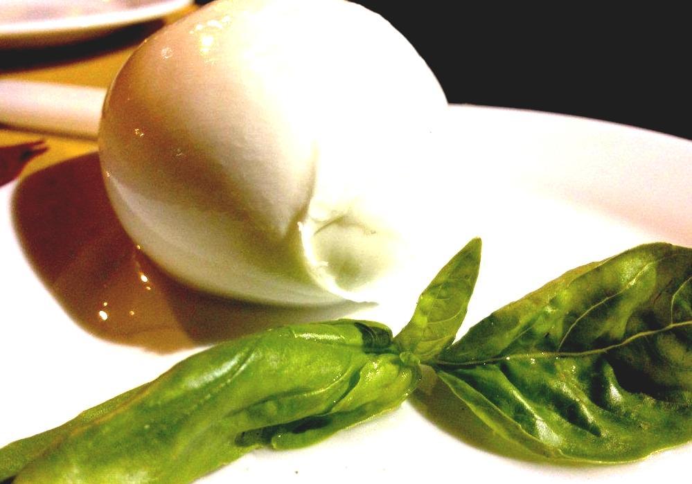Buffalo Mozzarella Water Buffalo Cheese