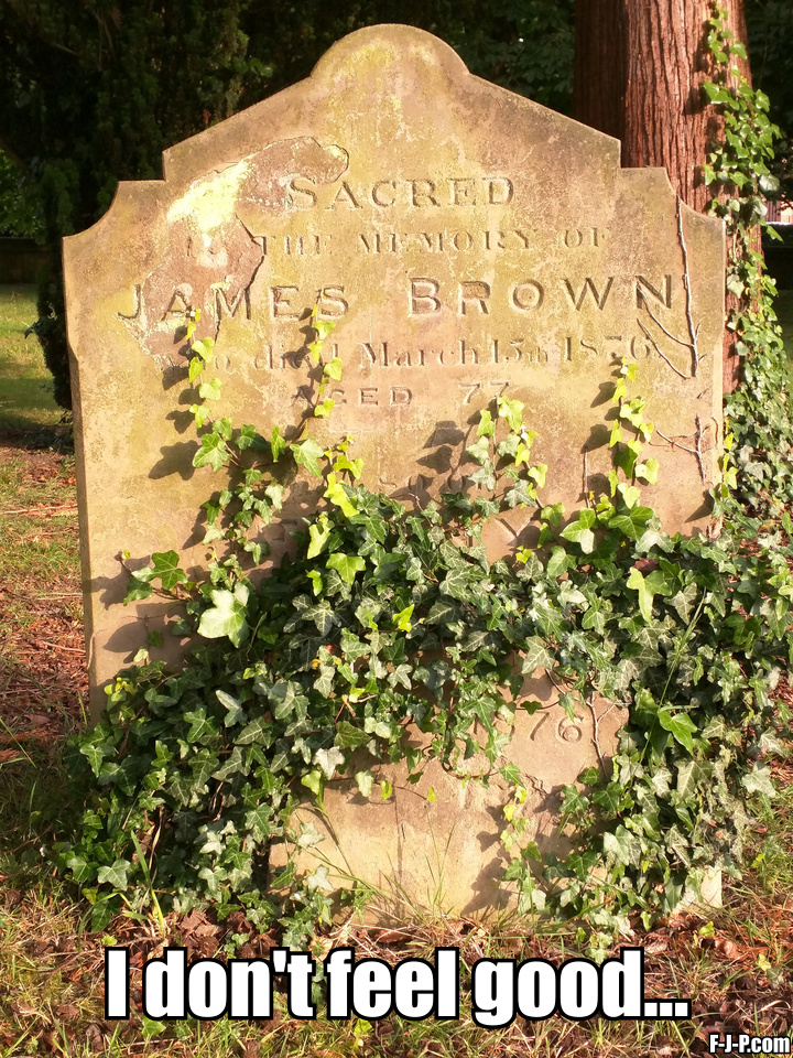 James Brown Epitaph Funny Joke Pictures