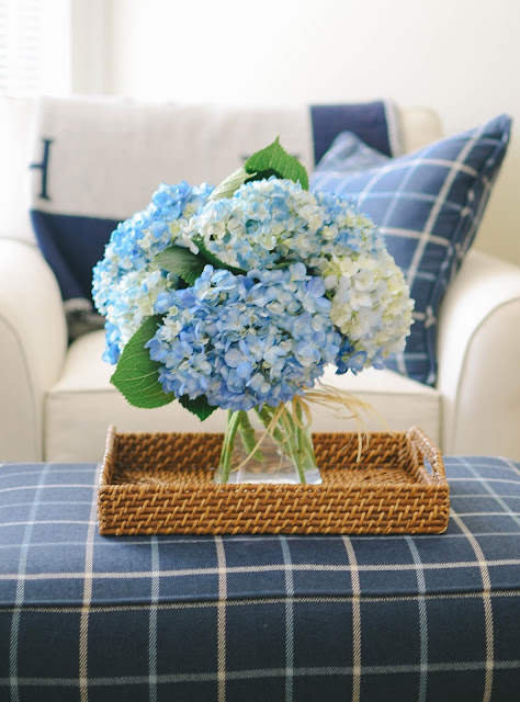 Summer Wind How To Keep Your Hydrangeas Alive Longer How To Keep Your Hydrangeas Alive Longer