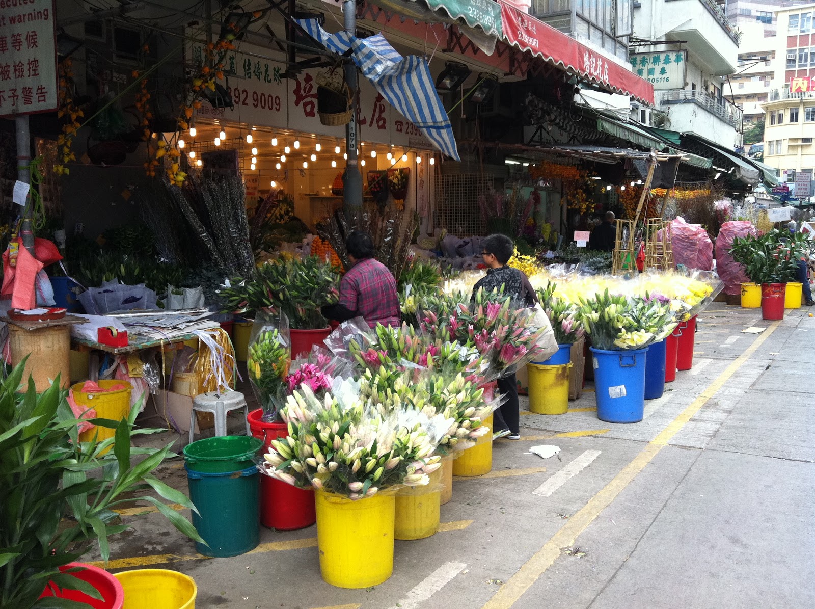 Avontuur in Hong Kong Flower Market