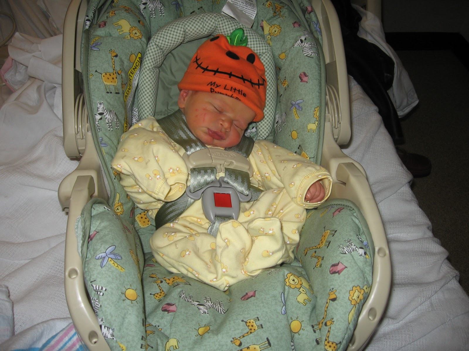 Chicco Infant Car Seat >> Jessica on Babies: Car Seat Rule #3: Newborns Chicco Infant Car Seat >> Jessica on Babies: Car Seat Rule #3: Newborns