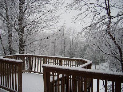 Out the back door in the Poconos 2012