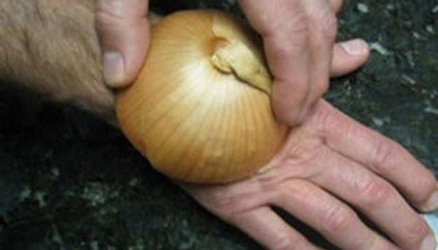 Si frotas una CEBOLLA cruda en la mano puedes curar quemaduras, picaduras y más. Conoce los beneficios curativos de la cebolla cruda. Si frotas una CEBOLLA cruda en la mano puedes curar quemaduras, picaduras y más. Conoce los beneficios curativos de la cebolla cruda.