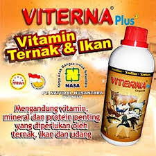 AGEN VITERNA DI LAMPUNG TIMUR AGEN VITERNA DI LAMPUNG TIMUR