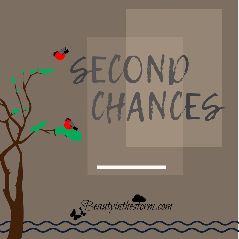 Beauty In the Storm Second Chances
