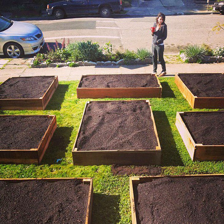 He Started With Some Boxes, 60 Days Later, The Neighbors Could Not Believe What He Built - Since the city was giving away compost for free, he got some and that’s what you see in the boxes.