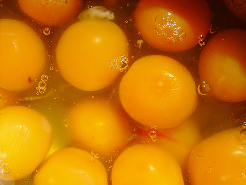 Portugal torrão natal FREGUESIA DE MACEDO DO MATO