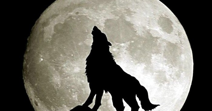 The Full Moon or Wolf Moon in Cancer - 12th January 2017