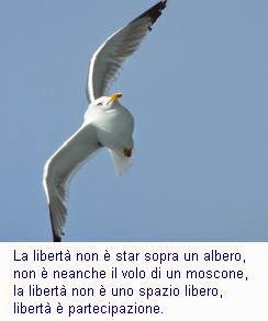 Frasi Sulla Liberta Di Vivere