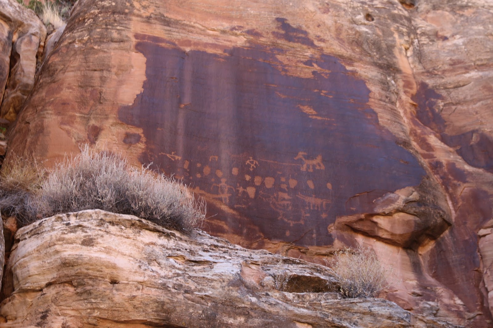 Shay Canyon Petroglyphs