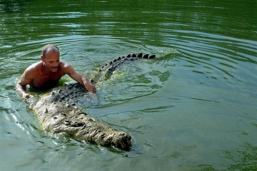 El famoso cocodrilo domesticado Pocho muere por causas desconocidas |  Mascotas