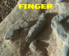 Another finger discovered on Mars now it makes it very human like in Mars past.