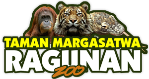 Harga Tiket Masuk Ragunan Terbaru Bulan Ini 2017, Daftar Wahana Lengkap