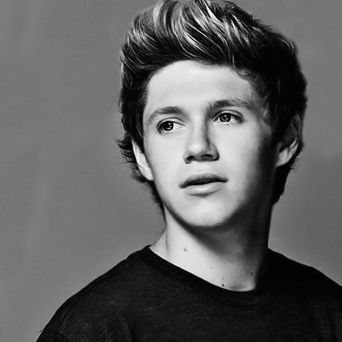 Mindstorm: HAPPY BIRTHDAY NIALL HORAN!! WE LOVE YOU!!!