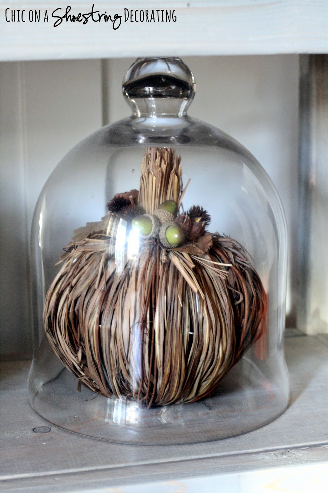 Chic on a Shoestring Decorating Black & Orange Fall Decor