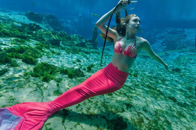 Aripeka West Daily: Real Live Mermaids!