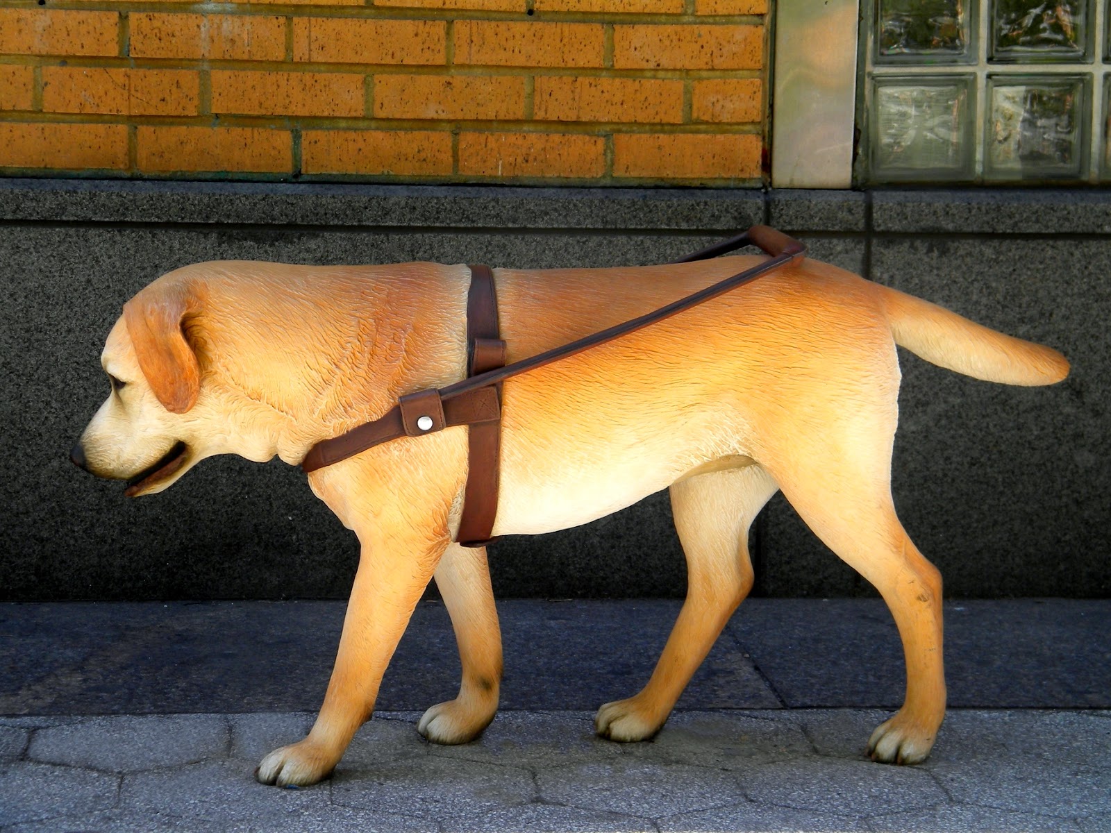 clipart guide dog - photo #38