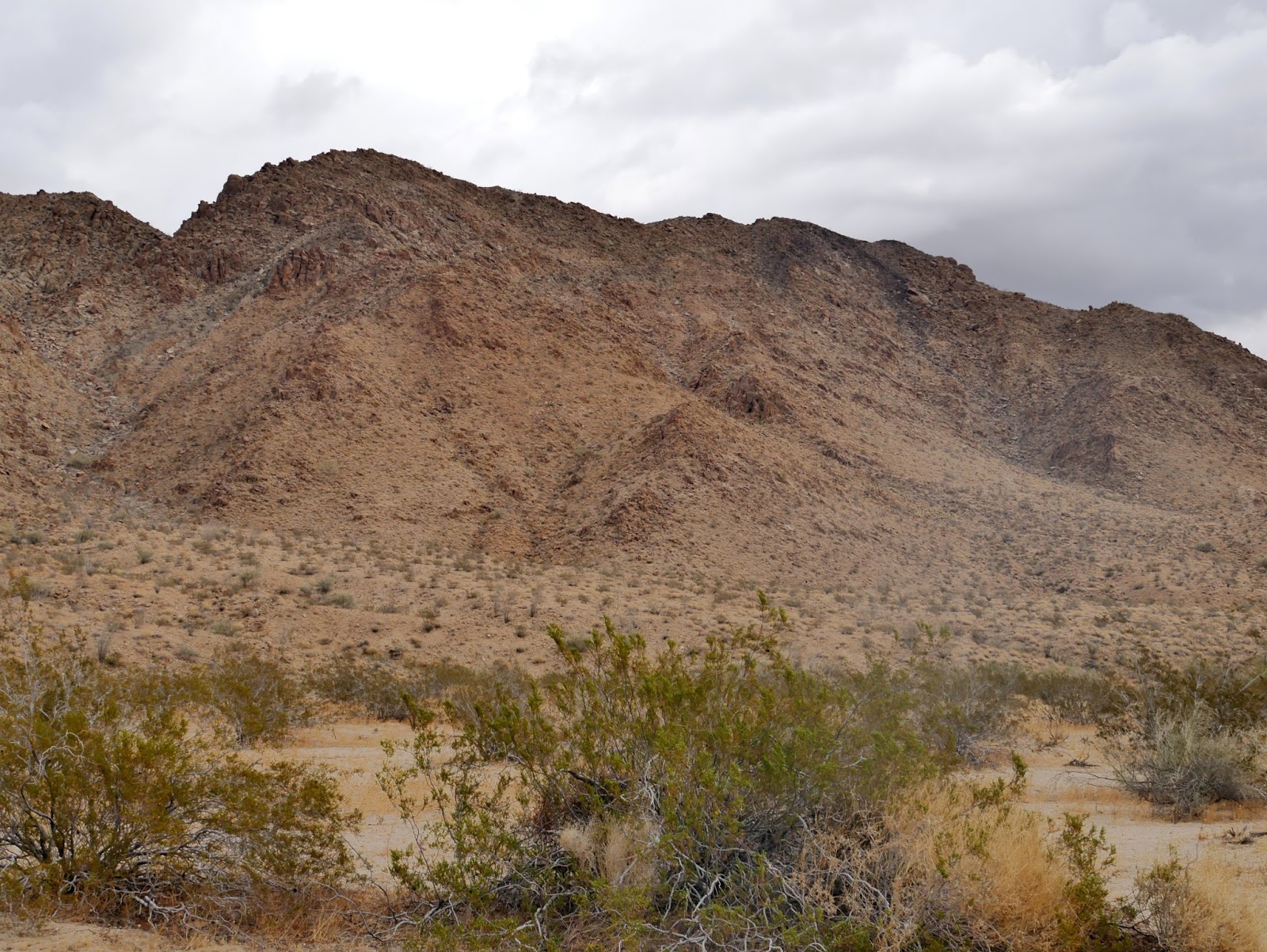 American Travel Journal Cottonwood Springs Road Joshua Tree National Park