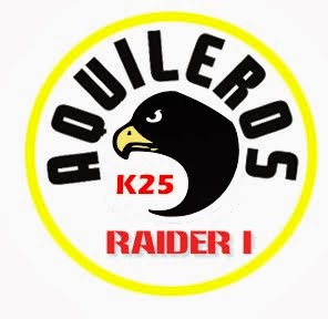 Logo raider