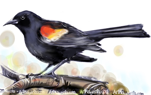 Red-winged Blackbird bird painting by Artmagenta