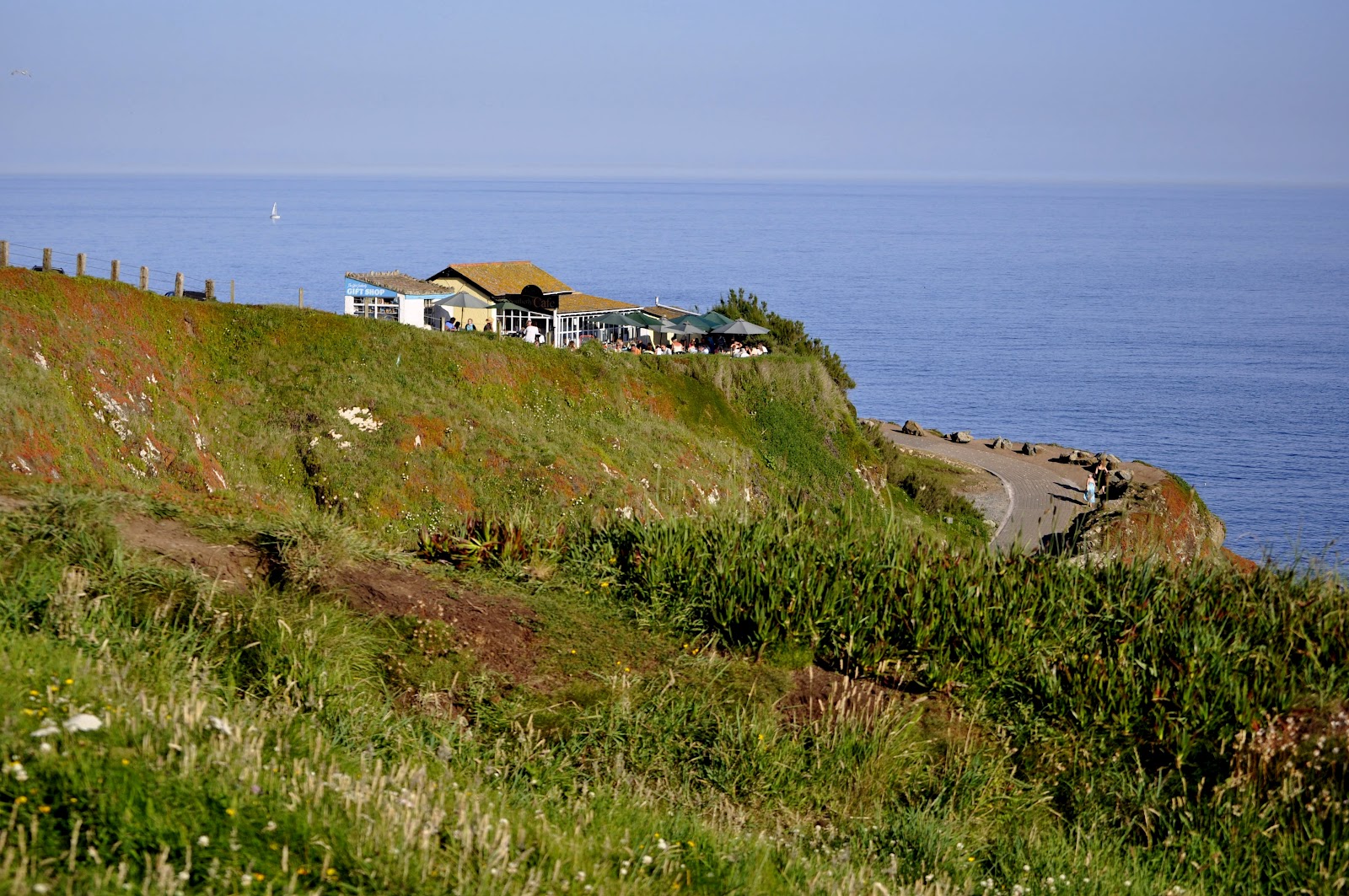 The Lone Sparrow The most Southerly Point (