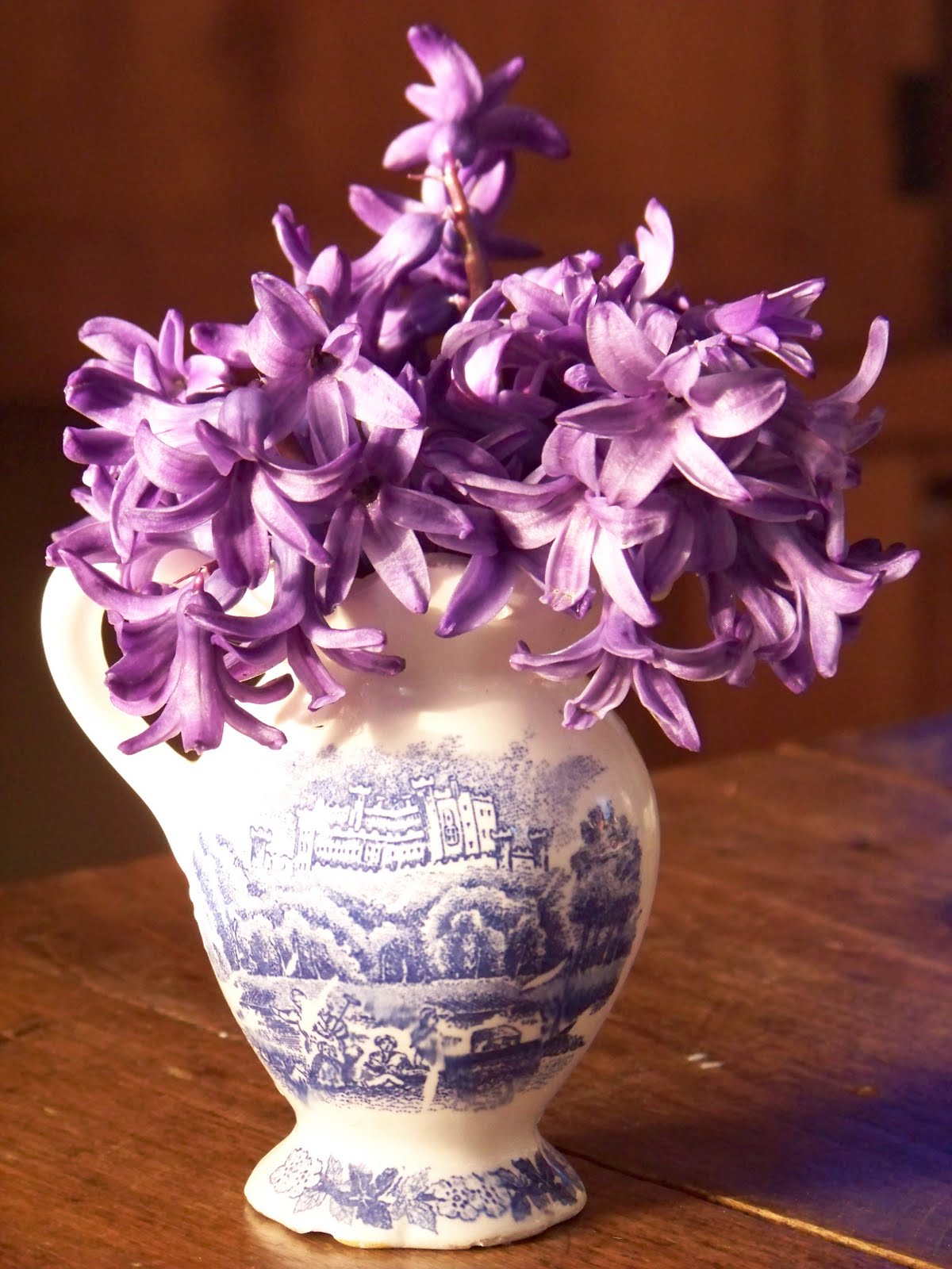 I Love My Garden: Hyacinth Indoors