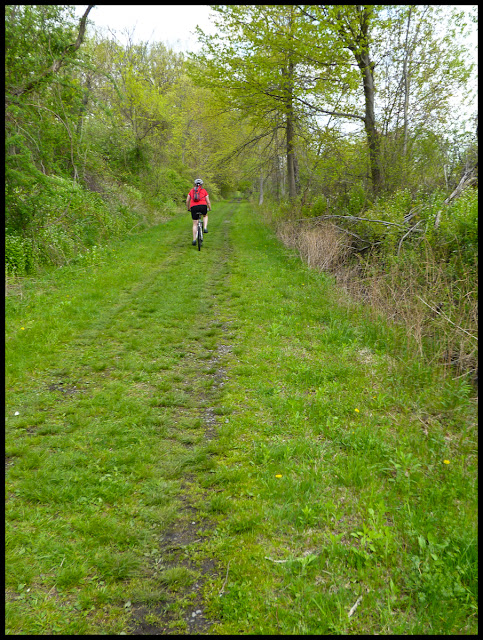 Wallkill Valley Rail Trail. Dirt and crushed stone all the way to Rosendale. Wallkill Valley Rail Trail. Dirt and crushed stone all the way to Rosendale.
