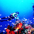 pesona wisata alam taman laut bunaken manado