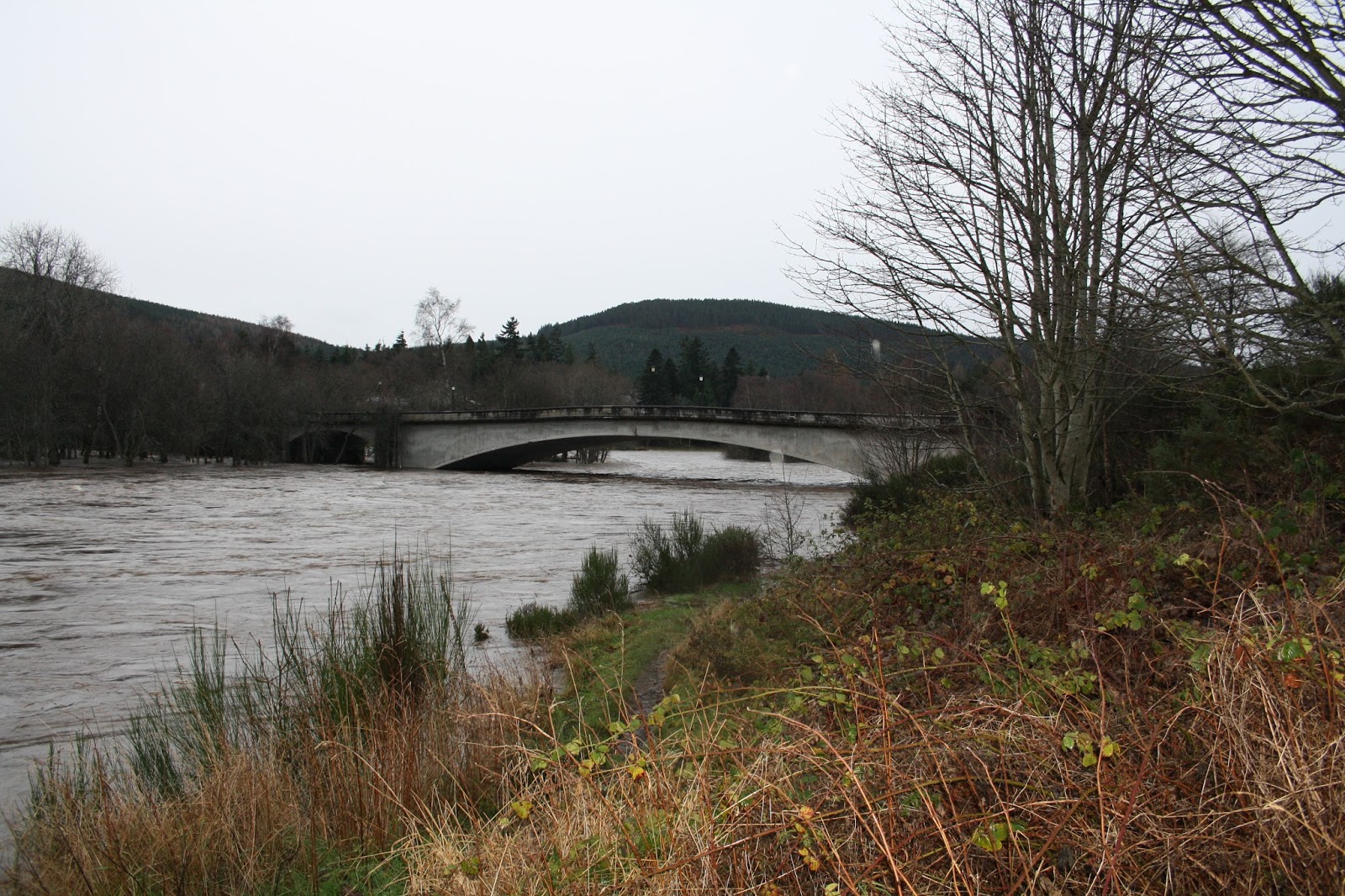 Dee & Don Salmon Fishing: Flooding On The River Dee Today