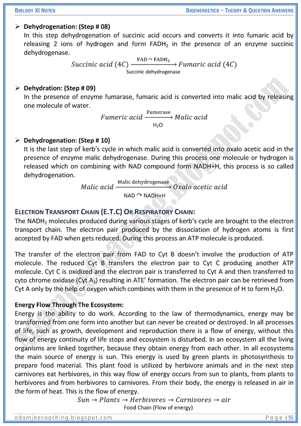 bioenergetics-descriptive-question-answers-biology-11th