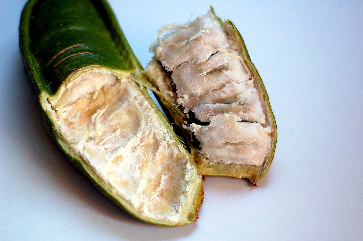 The Grains of Paradise The Ice