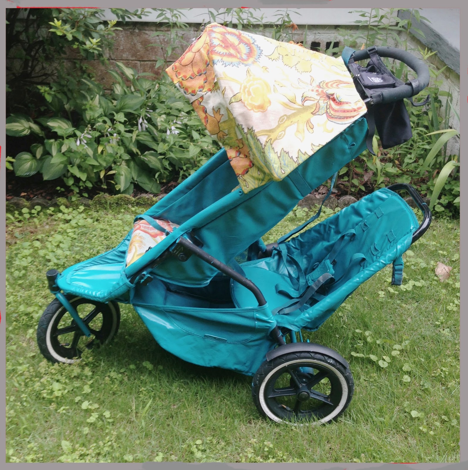 i want to paint all the things Phil & Ted’s Stroller Rehab