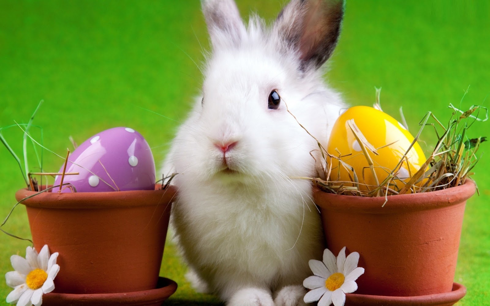 Beautiful Easter Wallpapers - Beautiful Desktop HD Wallpapers Download