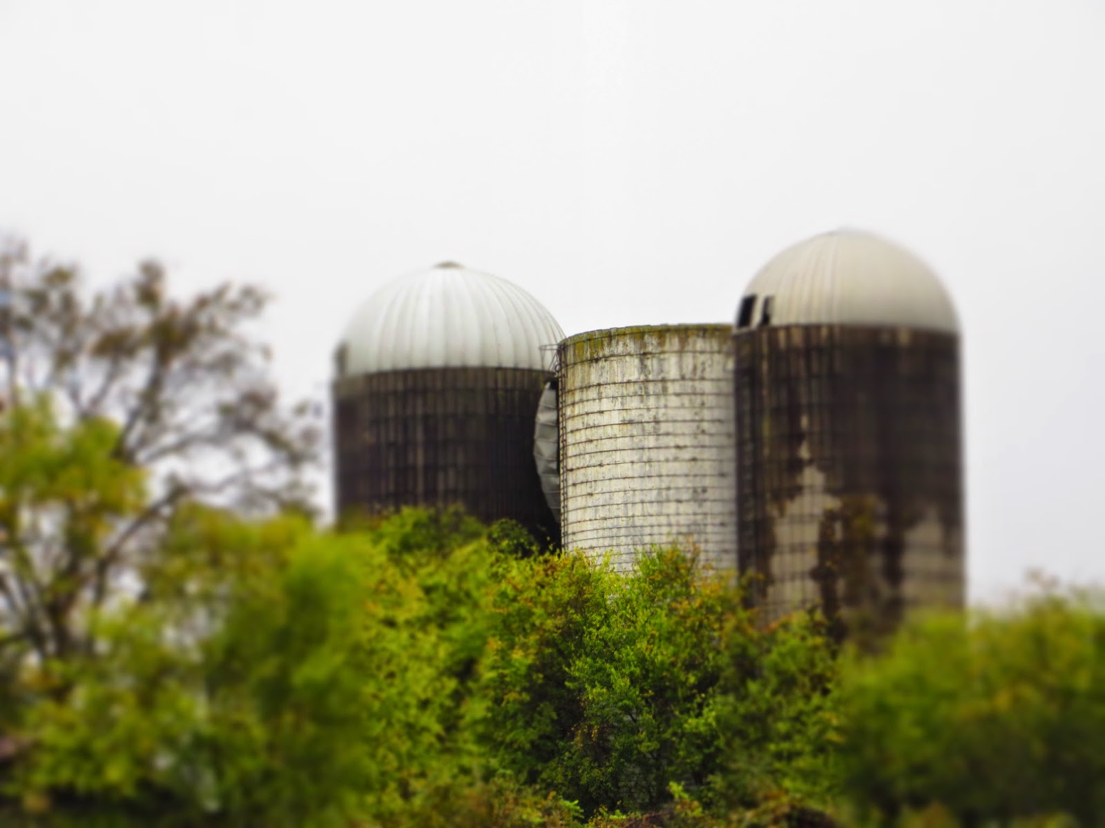 A Sudden Change in Plans Turned into a Great Family Adventure (I love