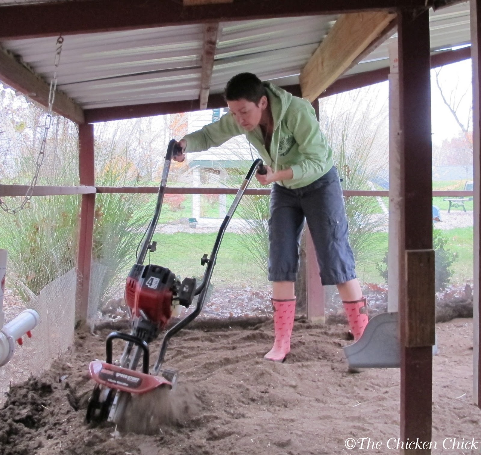 The Chicken Chick®: Chicken Coop Litter: Sand, the Litter 