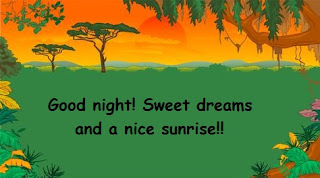 Good night! Sweet dreams and a nice sunrise!!