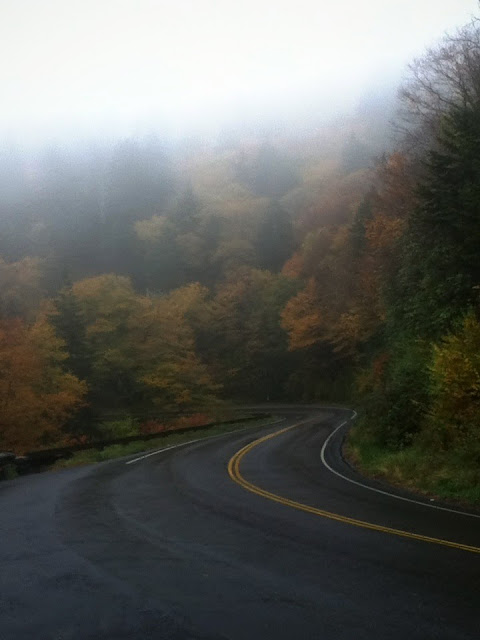 Great Smoky Mountains Road