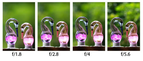 Illuminati Image Academy: Effect of Aperture on Depth Of Field