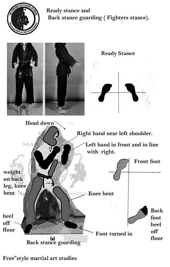 free" style martial art Basic kata stances