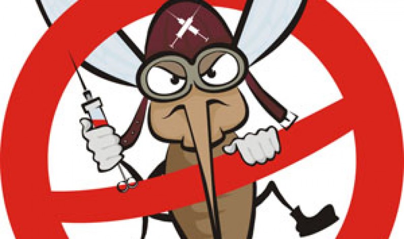 Casting Iklan Anti Nyamuk