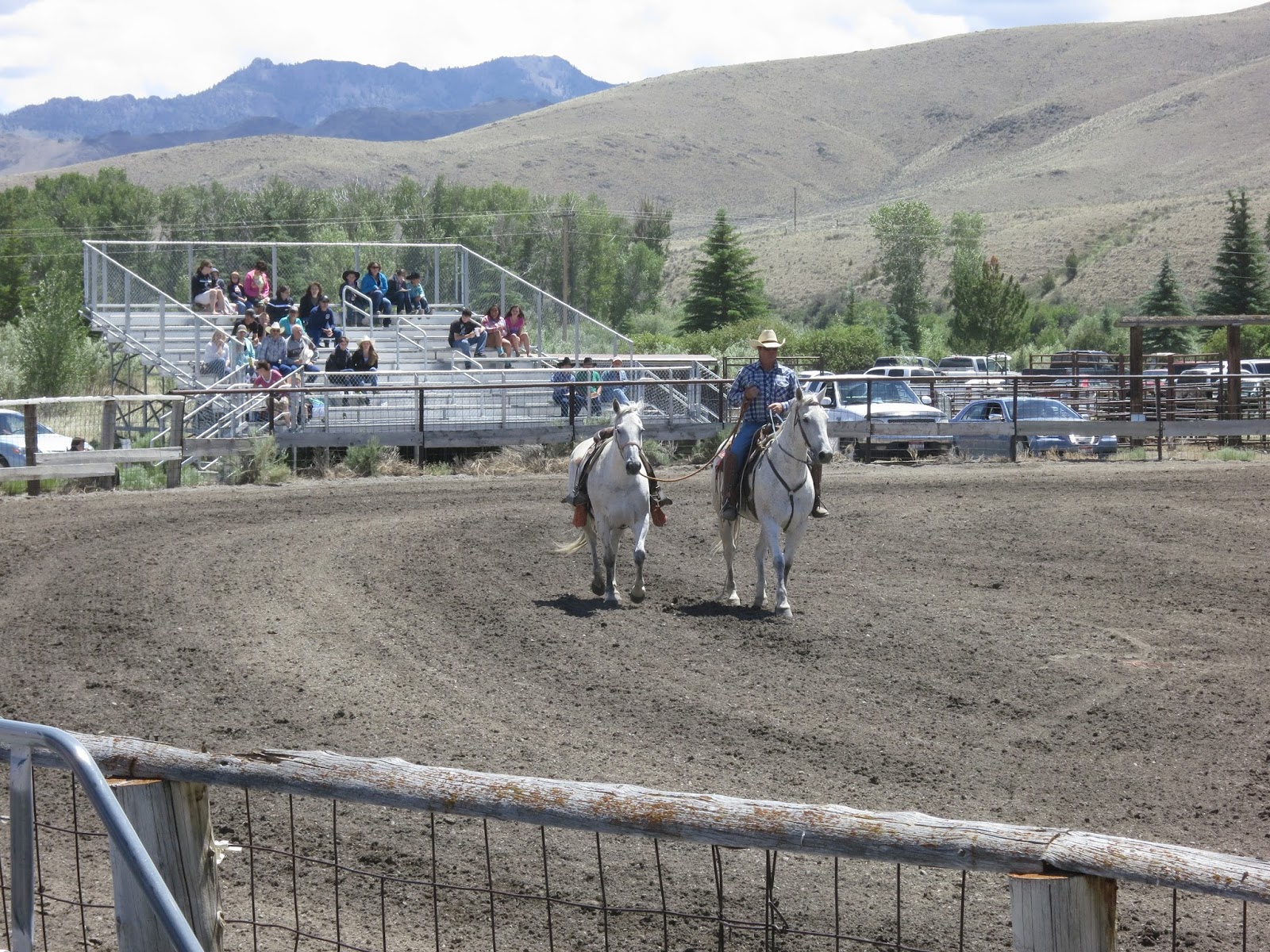 Mackay, Idaho 83251 Mackay Rodeo Photos From 22 June 2013
