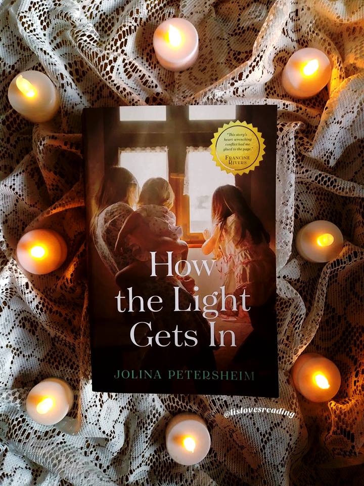 Contemporary Fiction Book Review How the Light Gets In