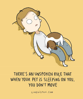 29 Hilarious Comics About Animals That Just Get Us