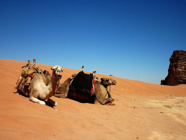 deserto wadi rum, giordania