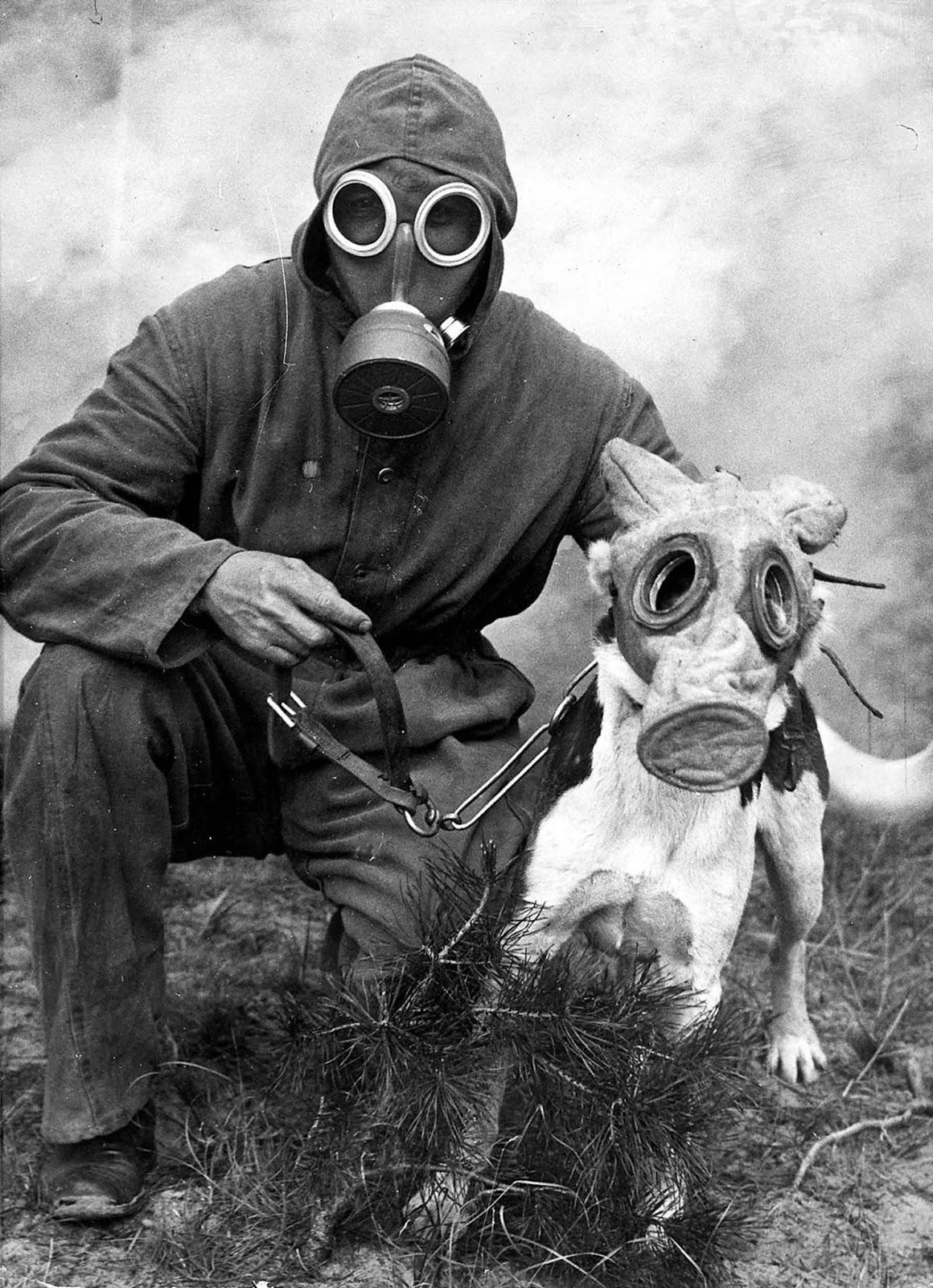 dogs_gas_masks+%25281%2529.jpg