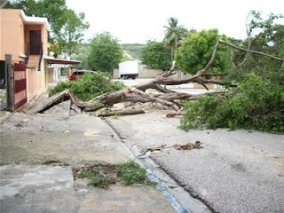Tornado afecta a Jimaní; árboles, postes y los servicios afectados.