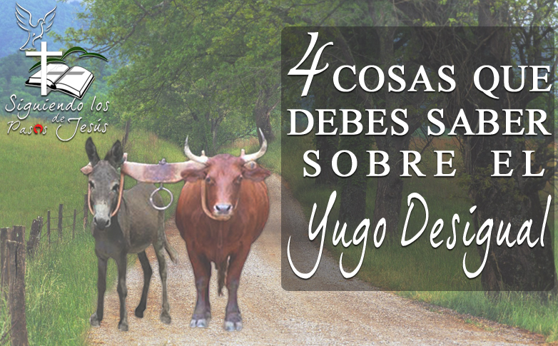 yugo desigual