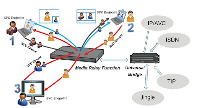polycom realpresence desktop trial limitations