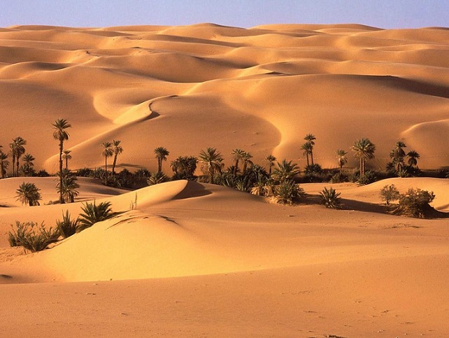 Seba, Surga Kecil di Gurun Sahara Seba, Surga Kecil di Gurun Sahara